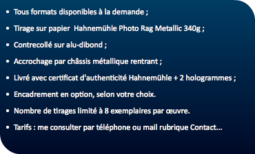 Tous formats disponibles à la demande ; Tirage sur papier Hahnemühle Photo Rag Metallic 340g ; Contrecollé sur alu-dibond ; Accrochage par châssis métallique rentrant ; Livré avec certificat d'authenticité Hahnemühle + 2 hologrammes ; Encadrement en option, selon votre choix. Nombre de tirages limité à 8 exemplaires par œuvre. Tarifs : me consulter par téléphone ou mail rubrique Contact...