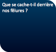 Que se cache-t-il derrière nos fêlures ? 